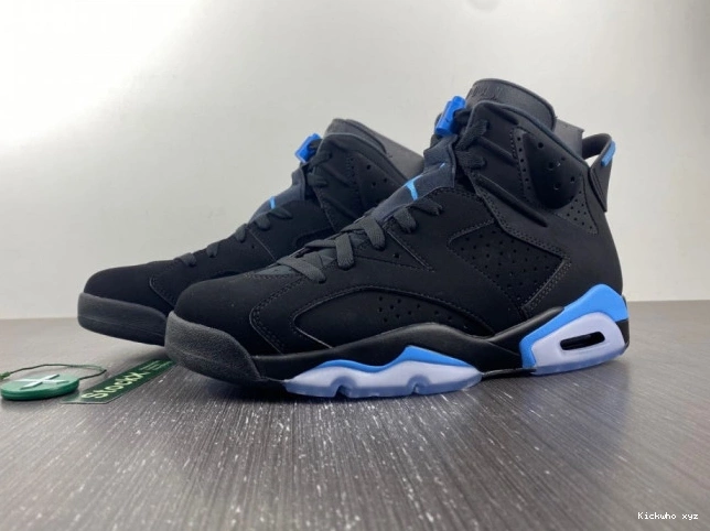 UNC 6 RETRO 384664-006 JORDAN 0628